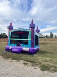IMG 4853 1763391395 Princess Castle Bounce House